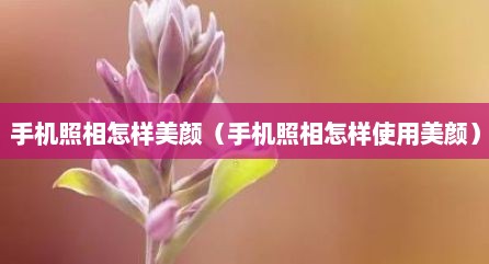 手机照相怎样美颜（手机照相怎样使用美颜）
