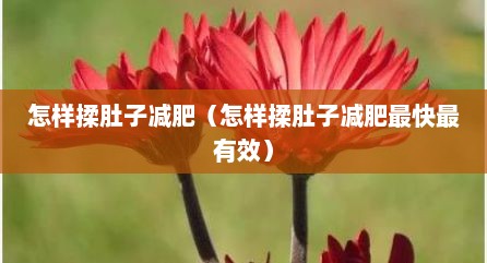 怎样揉肚子减肥（怎样揉肚子减肥最快最有效）