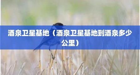 酒泉卫星基地（酒泉卫星基地到酒泉多少公里）
