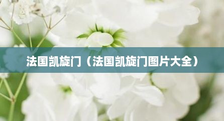 法国凯旋门（法国凯旋门图片大全）