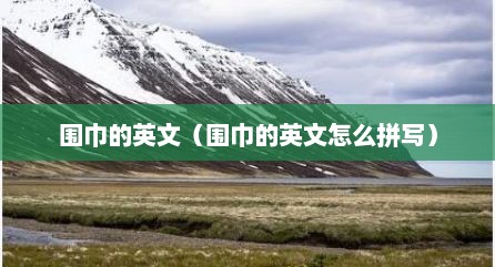 围巾的英文（围巾的英文怎么拼写）