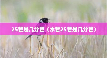 25管是几分管（水管25管是几分管）