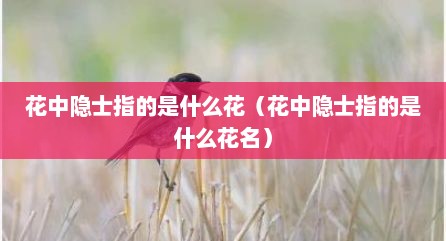 花中隐士指的是什么花（花中隐士指的是什么花名）