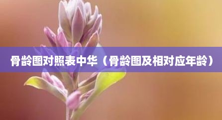 骨龄图对照表中华（骨龄图及相对应年龄）