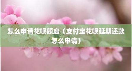 怎么申请花呗额度（支付宝花呗延期还款怎么申请）
