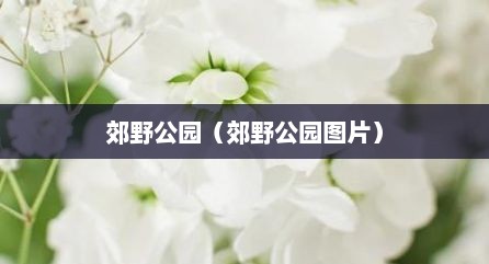 郊野公园（郊野公园图片）
