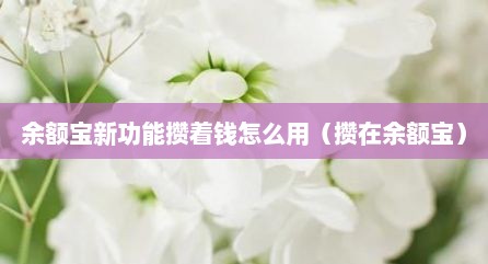 余额宝新功能攒着钱怎么用（攒在余额宝）