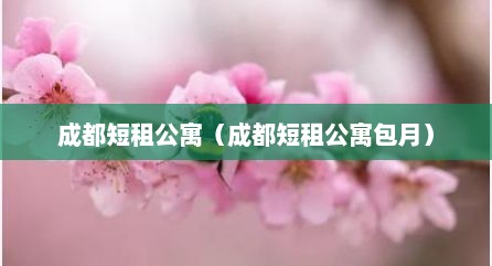 成都短租公寓（成都短租公寓包月）