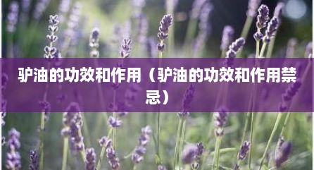 驴油的功效和作用（驴油的功效和作用禁忌）