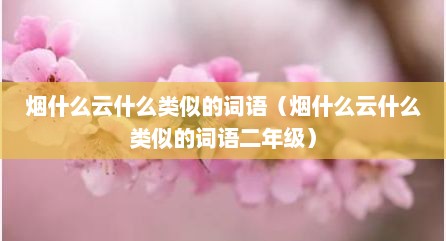 烟什么云什么类似的词语（烟什么云什么类似的词语二年级）