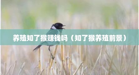 养殖知了猴赚钱吗（知了猴养殖前景）