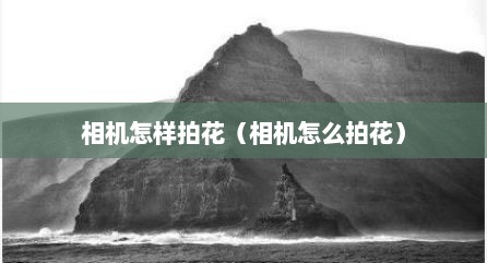 相机怎样拍花（相机怎么拍花）