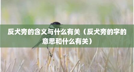 反犬旁的含义与什么有关（反犬旁的字的意思和什么有关）