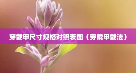 穿戴甲尺寸规格对照表图（穿戴甲戴法）