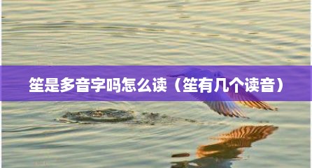 笙是多音字吗怎么读（笙有几个读音）