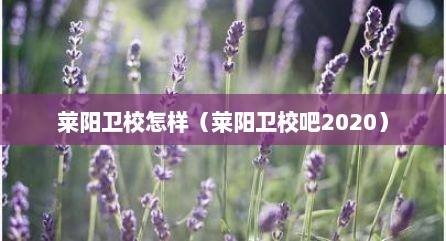 莱阳卫校怎样（莱阳卫校吧2020）