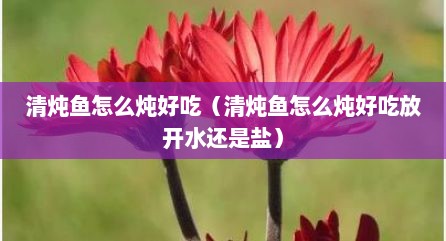 清炖鱼怎么炖好吃（清炖鱼怎么炖好吃放开水还是盐）