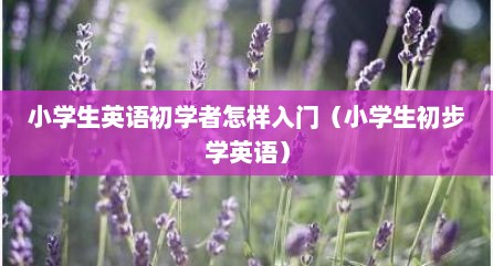 小学生英语初学者怎样入门（小学生初步学英语）