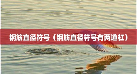 钢筋直径符号（钢筋直径符号有两道杠）