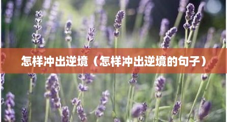 怎样冲出逆境（怎样冲出逆境的句子）