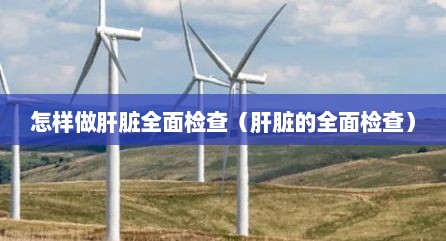 怎样做肝脏全面检查（肝脏的全面检查）