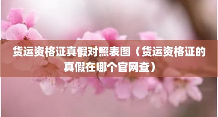 货运资格证真假对照表图（货运资格证的真假在哪个官网查）