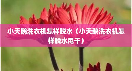 小天鹅洗衣机怎样脱水（小天鹅洗衣机怎样脱水甩干）