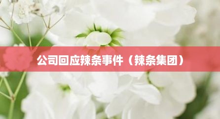 公司回应辣条事件（辣条集团）