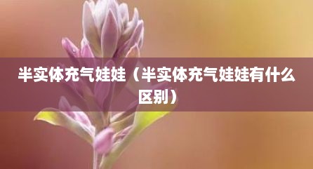 半实体充气娃娃（半实体充气娃娃有什么区别）
