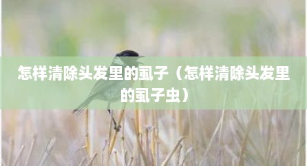 怎样清除头发里的虱子（怎样清除头发里的虱子虫）