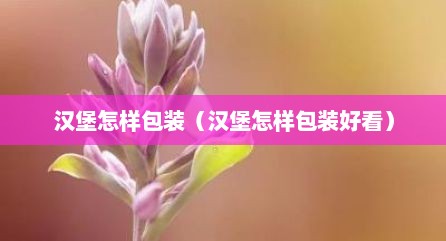 汉堡怎样包装（汉堡怎样包装好看）