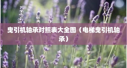 曳引机轴承对照表大全图（电梯曳引机轴承）