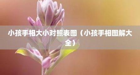小孩手相大小对照表图（小孩手相图解大全）