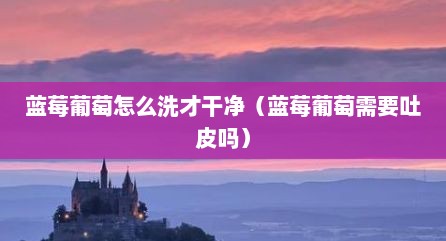 蓝莓葡萄怎么洗才干净（蓝莓葡萄需要吐皮吗）