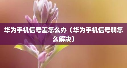 华为手机信号差怎么办（华为手机信号弱怎么解决）