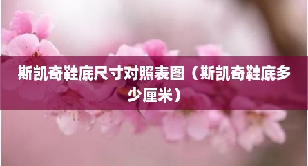 斯凯奇鞋底尺寸对照表图（斯凯奇鞋底多少厘米）