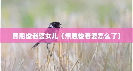 焦恩俊老婆女儿（焦恩俊老婆怎么了）