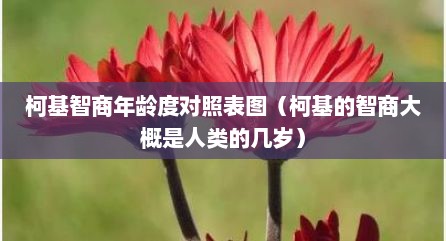 柯基智商年龄度对照表图（柯基的智商大概是人类的几岁）
