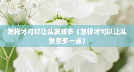 怎样才可以让头发变多（怎样才可以让头发变多一点）