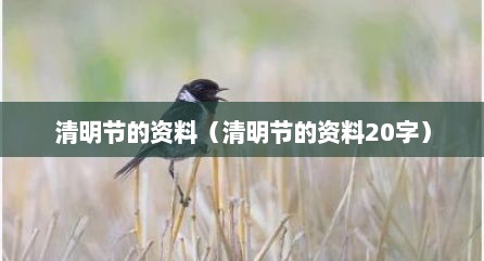清明节的资料（清明节的资料20字）