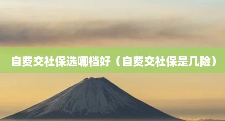 自费交社保选哪档好（自费交社保是几险）