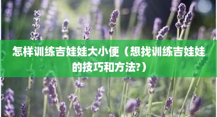 怎样训练吉娃娃大小便（想找训练吉娃娃的技巧和方法?）