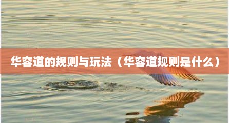 华容道的规则与玩法（华容道规则是什么）