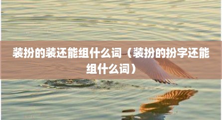 装扮的装还能组什么词（装扮的扮字还能组什么词）