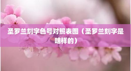 圣罗兰刻字色号对照表图（圣罗兰刻字是啥样的）