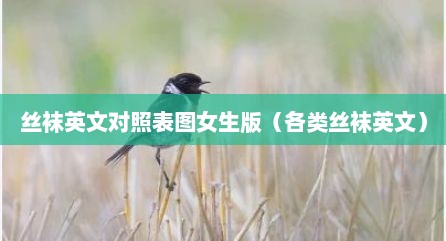 丝袜英文对照表图女生版（各类丝袜英文）