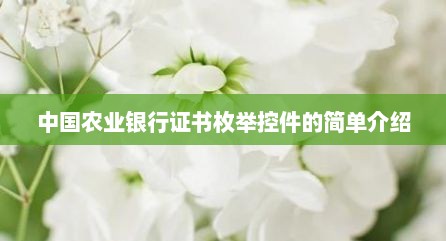 中国农业银行证书枚举控件的简单介绍