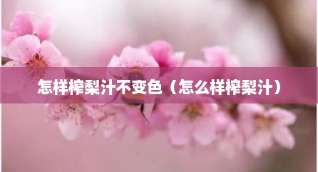 怎样榨梨汁不变色（怎么样榨梨汁）