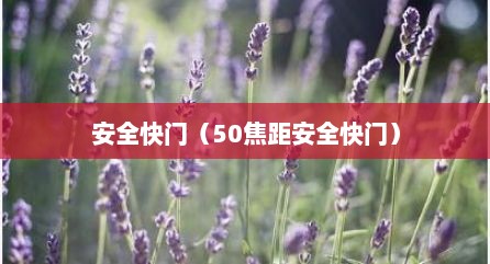 安全快门（50焦距安全快门）