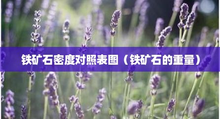 铁矿石密度对照表图（铁矿石的重量）
